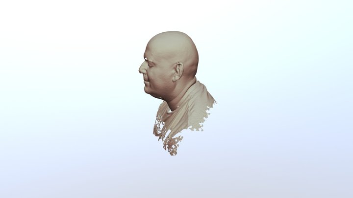 Head Scan with peel 3d - by Aniwaa 3D Model