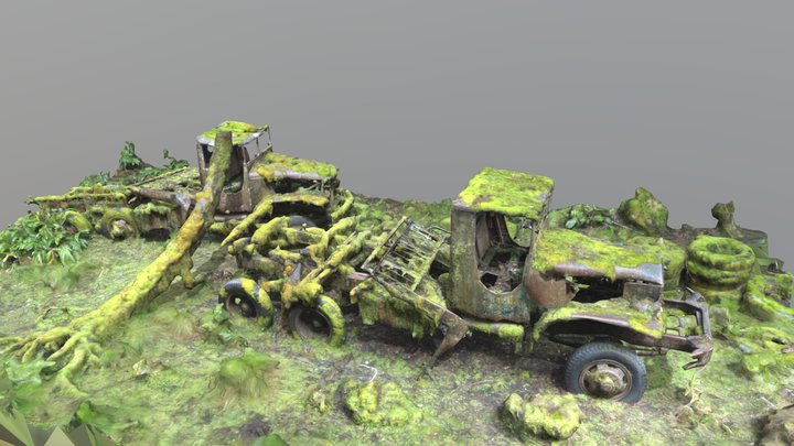 Photogrammetry of Abandoned Trucks 3D Model