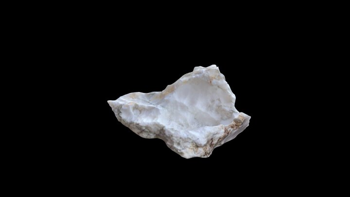 Bone Rock 3D Model