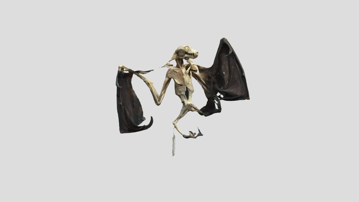 Fruitbat_MH_1287 3D Model