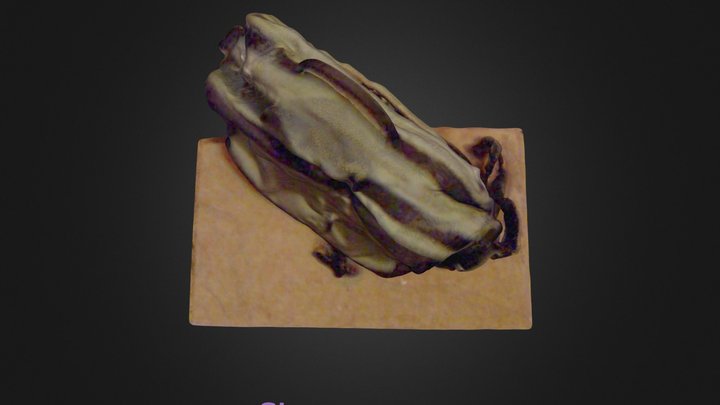 My_new_scan2 3D Model