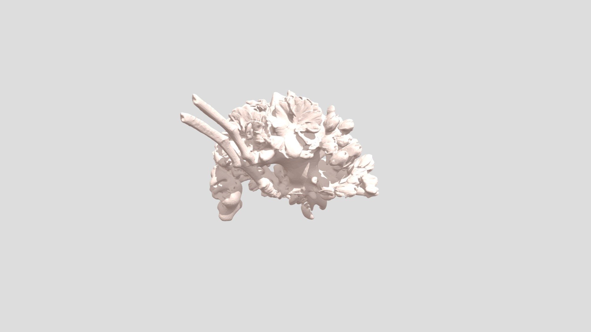 blossem