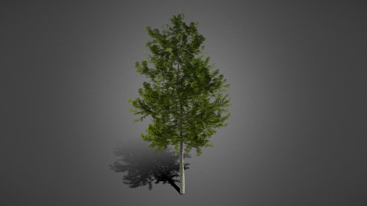 Hill Tree – Free 3D Model STL