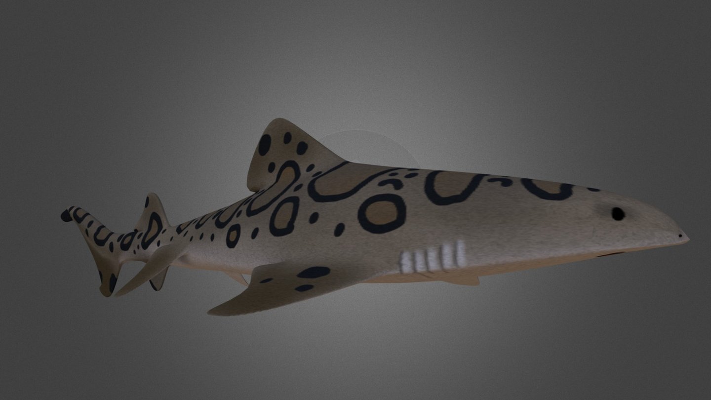 Roblox Blox Fruit Leopard - Download Free 3D model by scrdiaxik