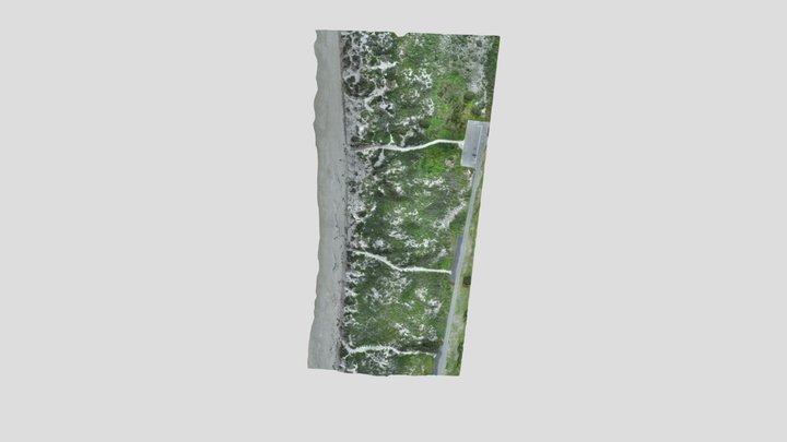 Floreat-F4-2022 Simplified 3d Mesh 3D Model