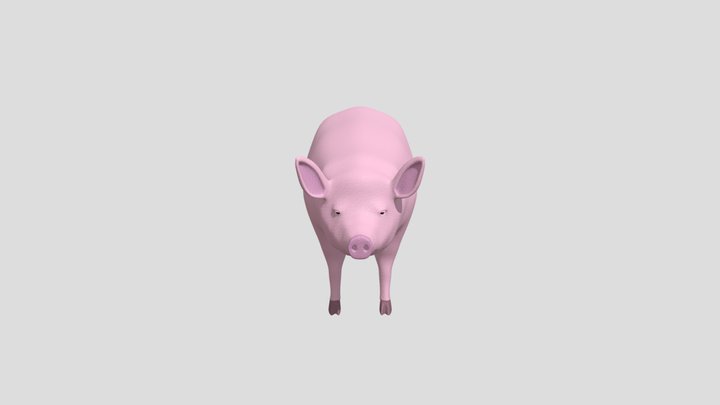 Pig 3D Model