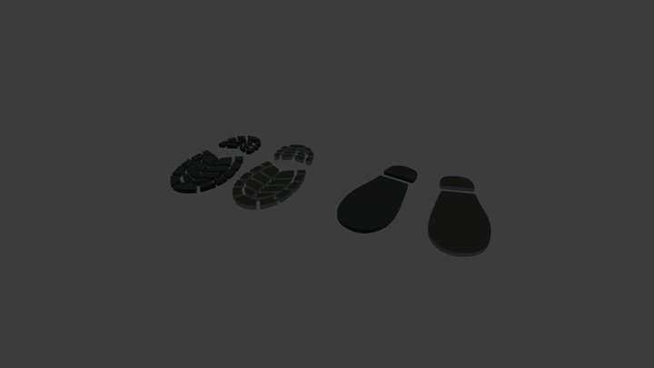 Shoe Marks 3D Model