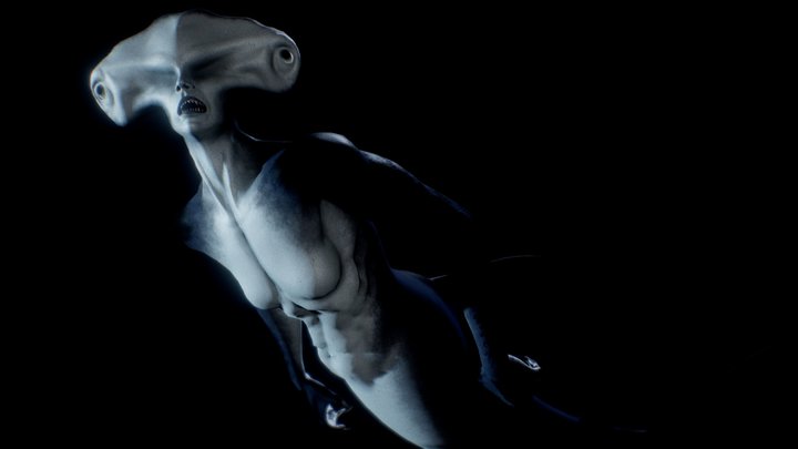 Shark Mermaid 3D Model