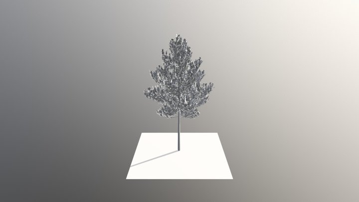 Arbre 3D Model