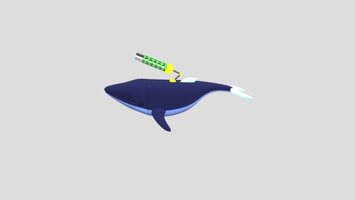 Ballena tactica 3D Model