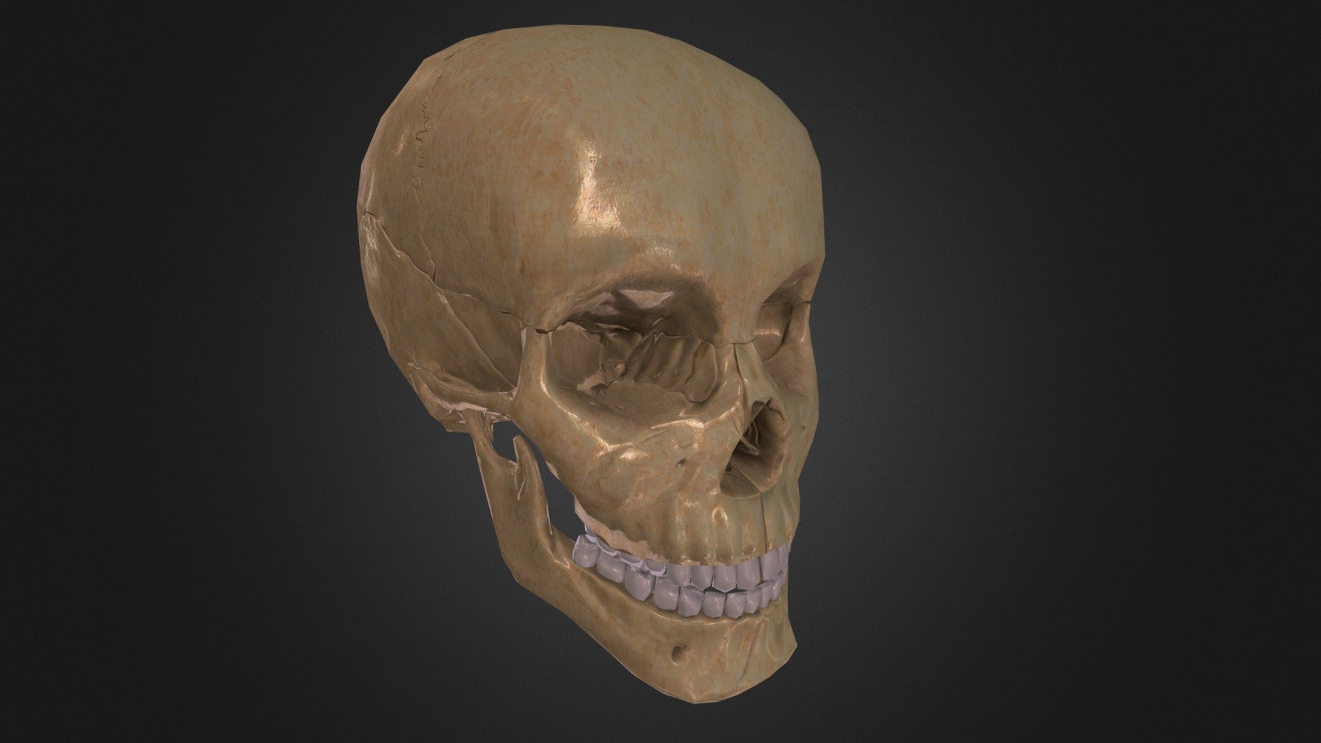 Lowpoly Skull