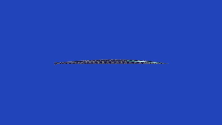 snake_titanoboa_by_dino_raul 3D Model