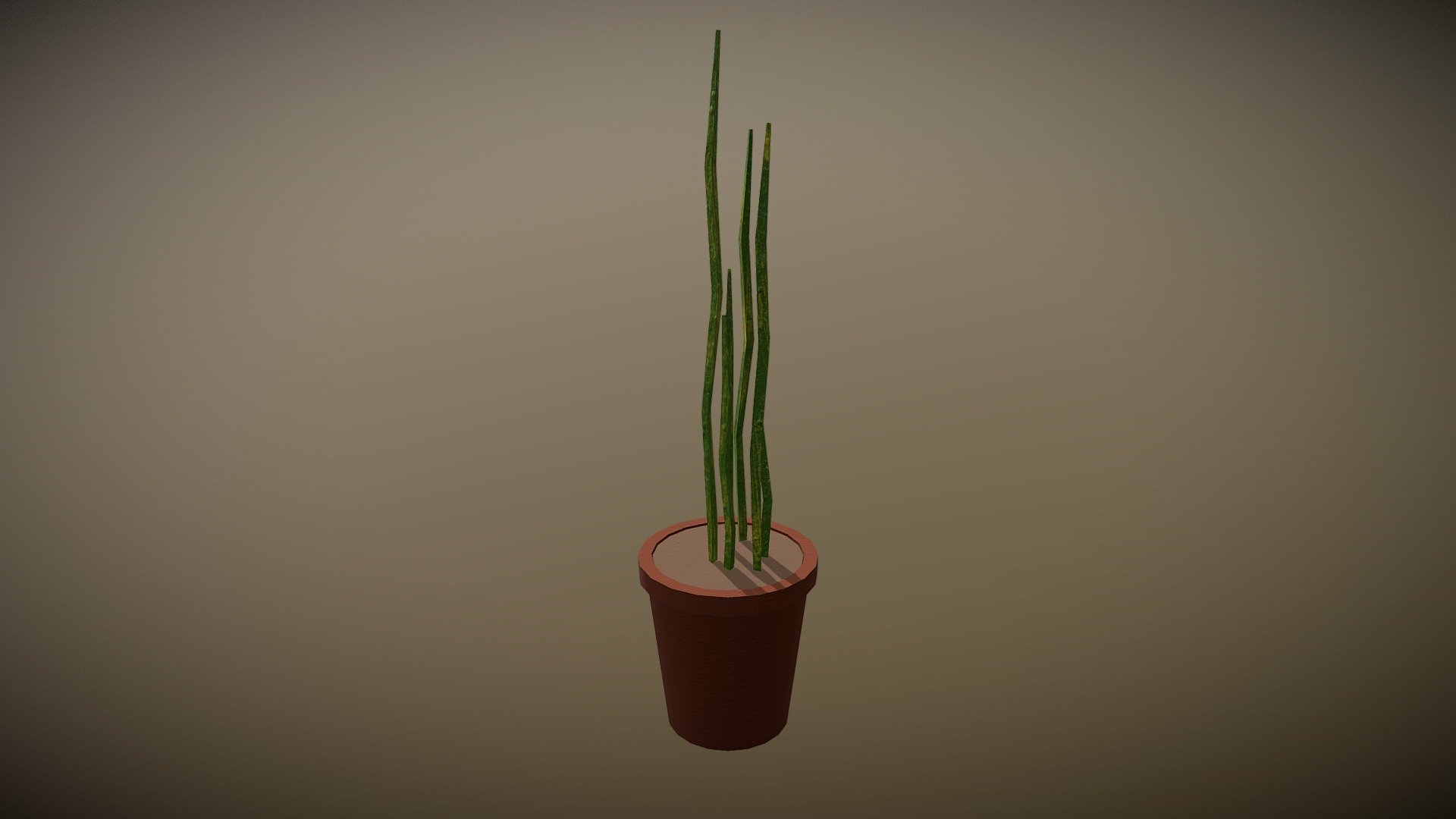 Plant