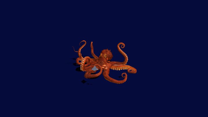 Kraken 3D Model
