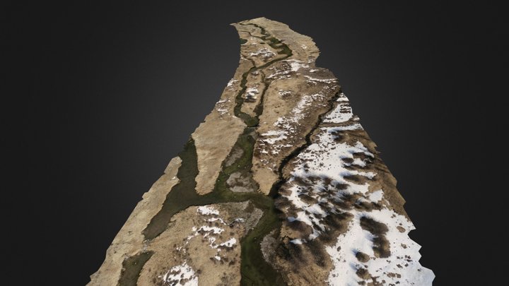Spring Creek Survey 3D Model