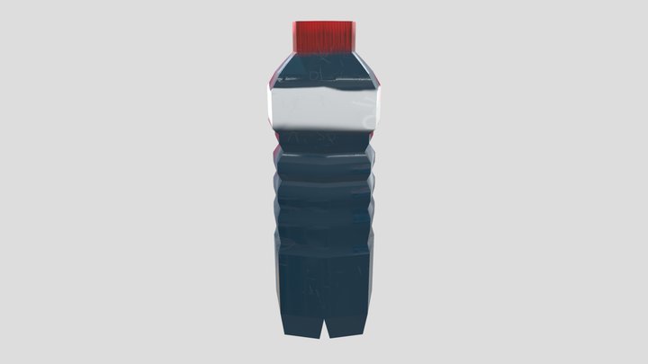 Textured Bottle 3D Model