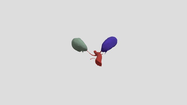 Cardio 3D Model