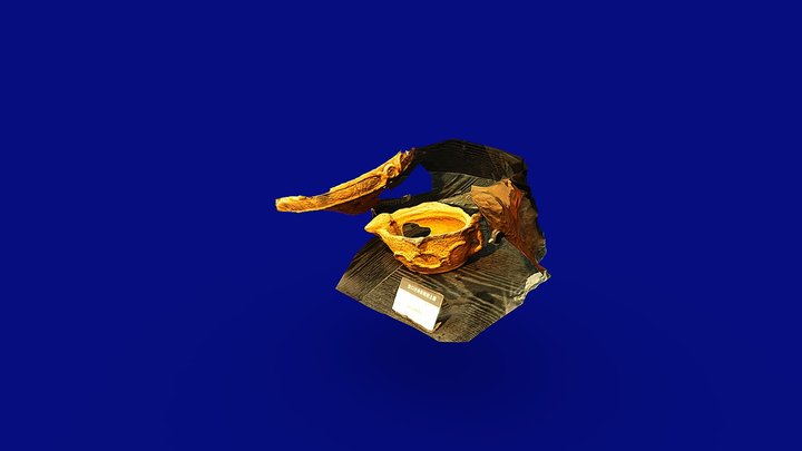 技術資料　3DF Zephyr Liteバージョンの違いによる結像精度向上の確認 – Free 3D Model STL