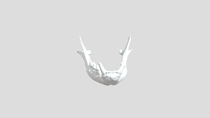 Mandibula 2 Final Bajo 3D Model