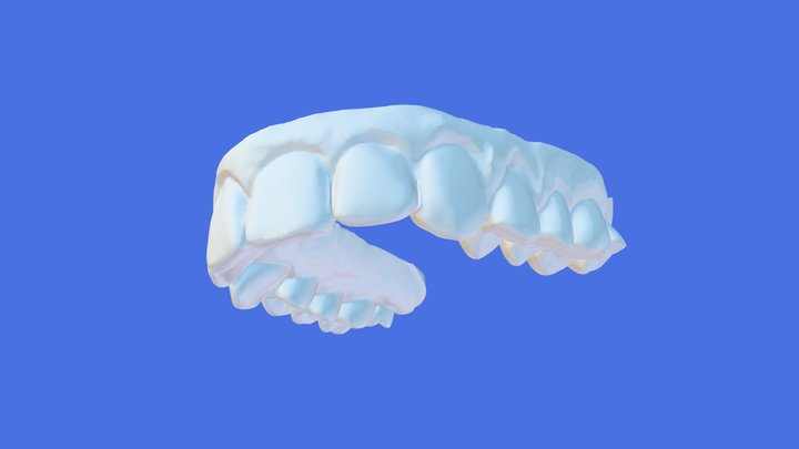 Maxillary Teeth Model Arch 3D Model