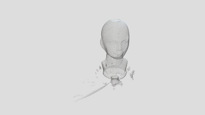 Head 3D Model