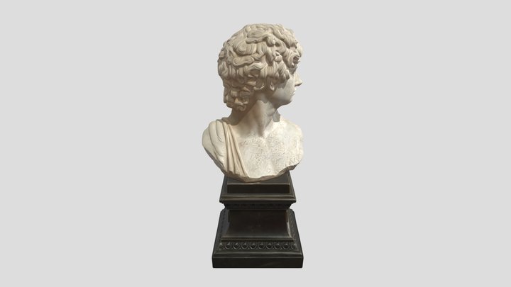 Marble bust of Achilles on a decorative pedesta