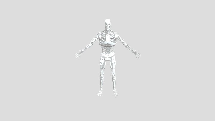 Terminator ((T-800) YES VIP 3D Model