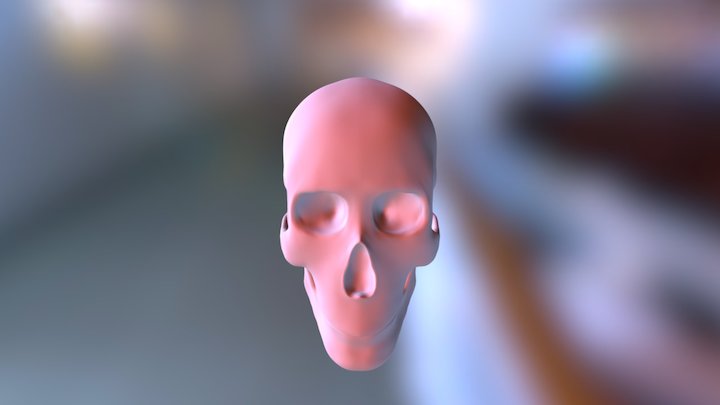 Skull11 3D Model