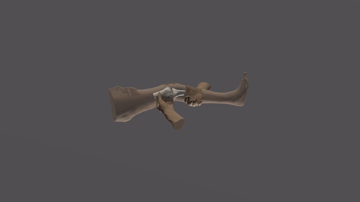 Lachman Test 3D Model