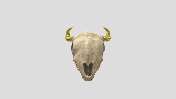 Skull 3D Model