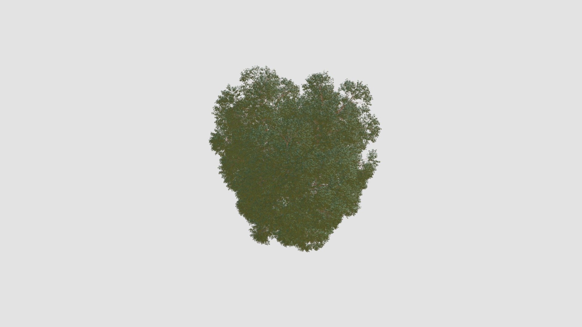 tree - Buy Royalty Free 3D model by Evermotion [ca902d3] - Sketchfab Store