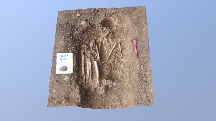 Crouched burial 3D Model