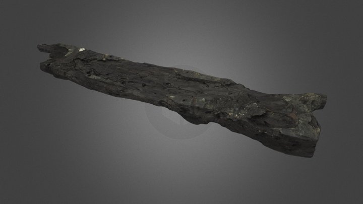 Timber, 1:1 Scale Constrained Model 3D Model
