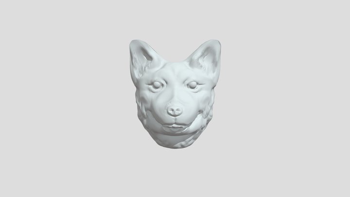 Corgi Head Model 3D Model