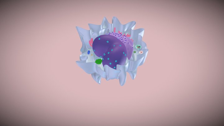 Monocyte 3D Model