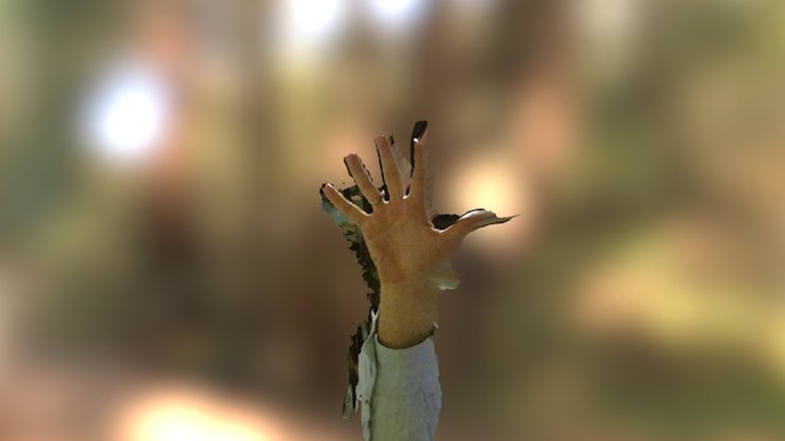 singleframehand 3D Model