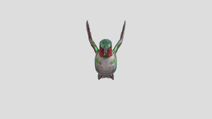 Emerald Flight – Free 3D Model STL