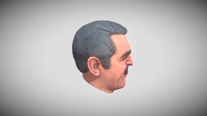 vicente fernandez cara avatar 3D Model