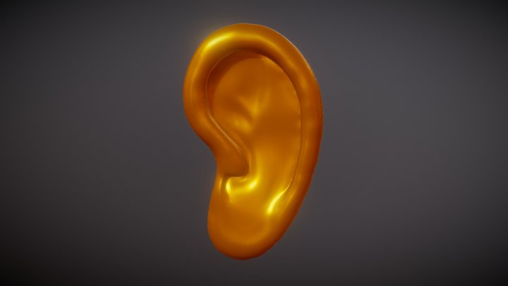 Ear_B_01 3D Model