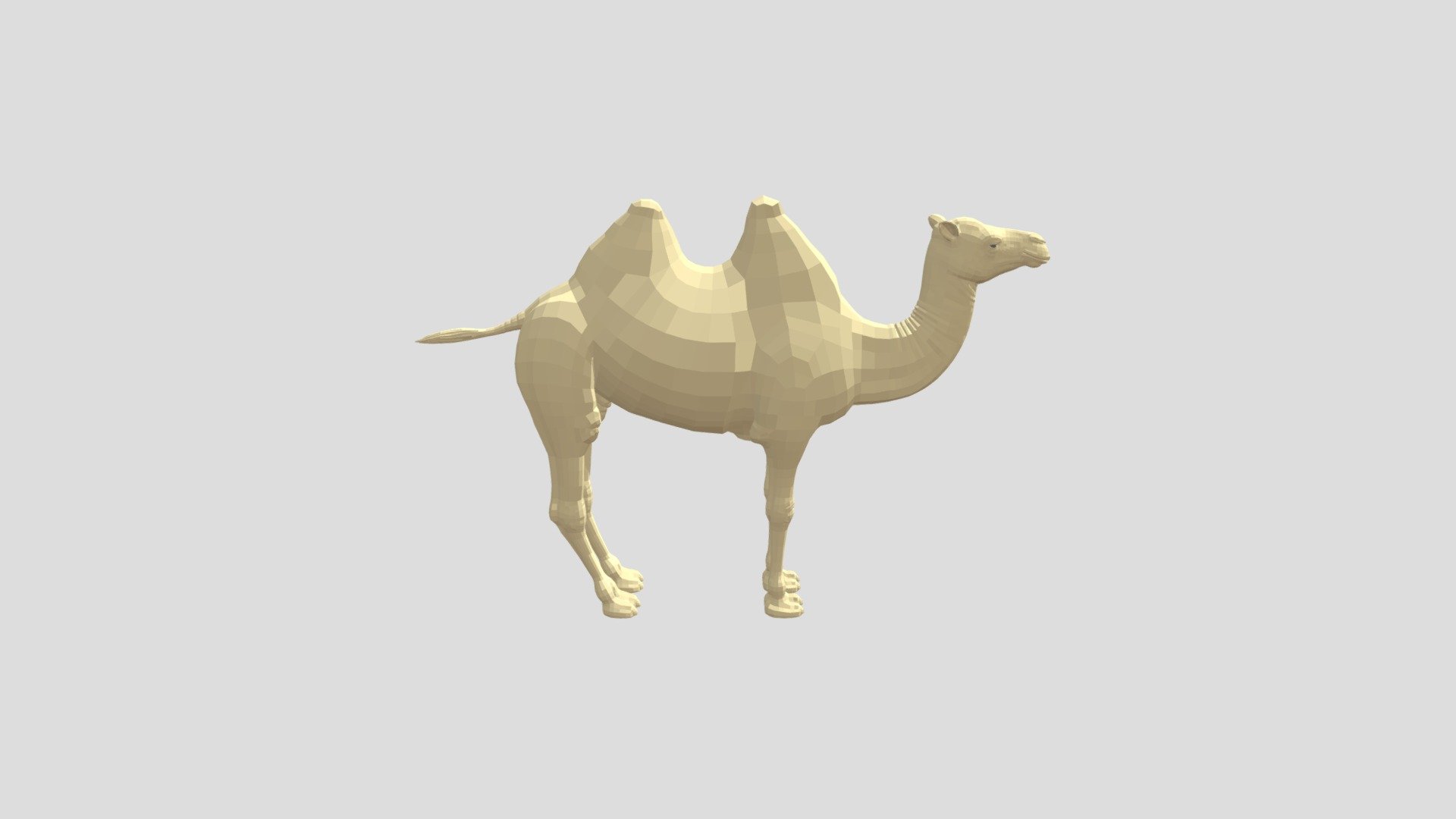 Camel from Poly by Google - 3D model by IronEqual (@ie-niels) [caa90bc ...