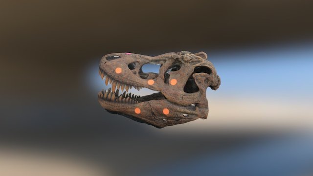Fluffy the T-Rex 3D Model