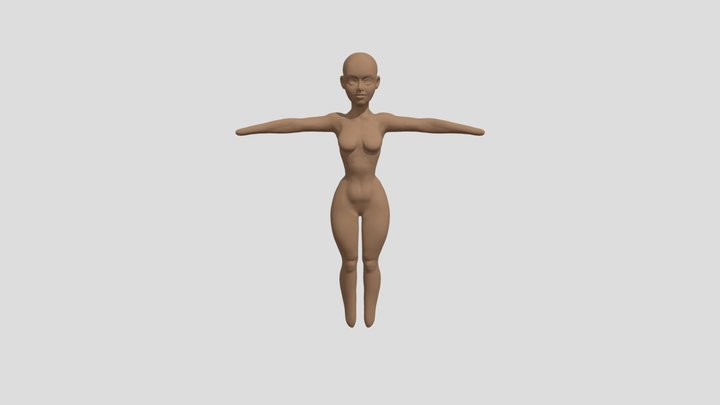 Body 3D Model