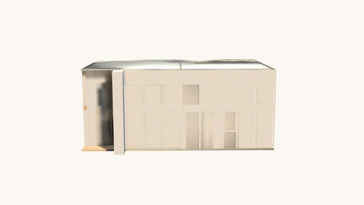 House Fly 3D Model