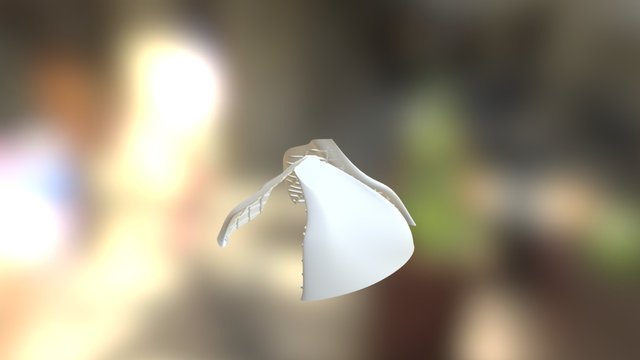 Esqueleto e Casca 3D Model