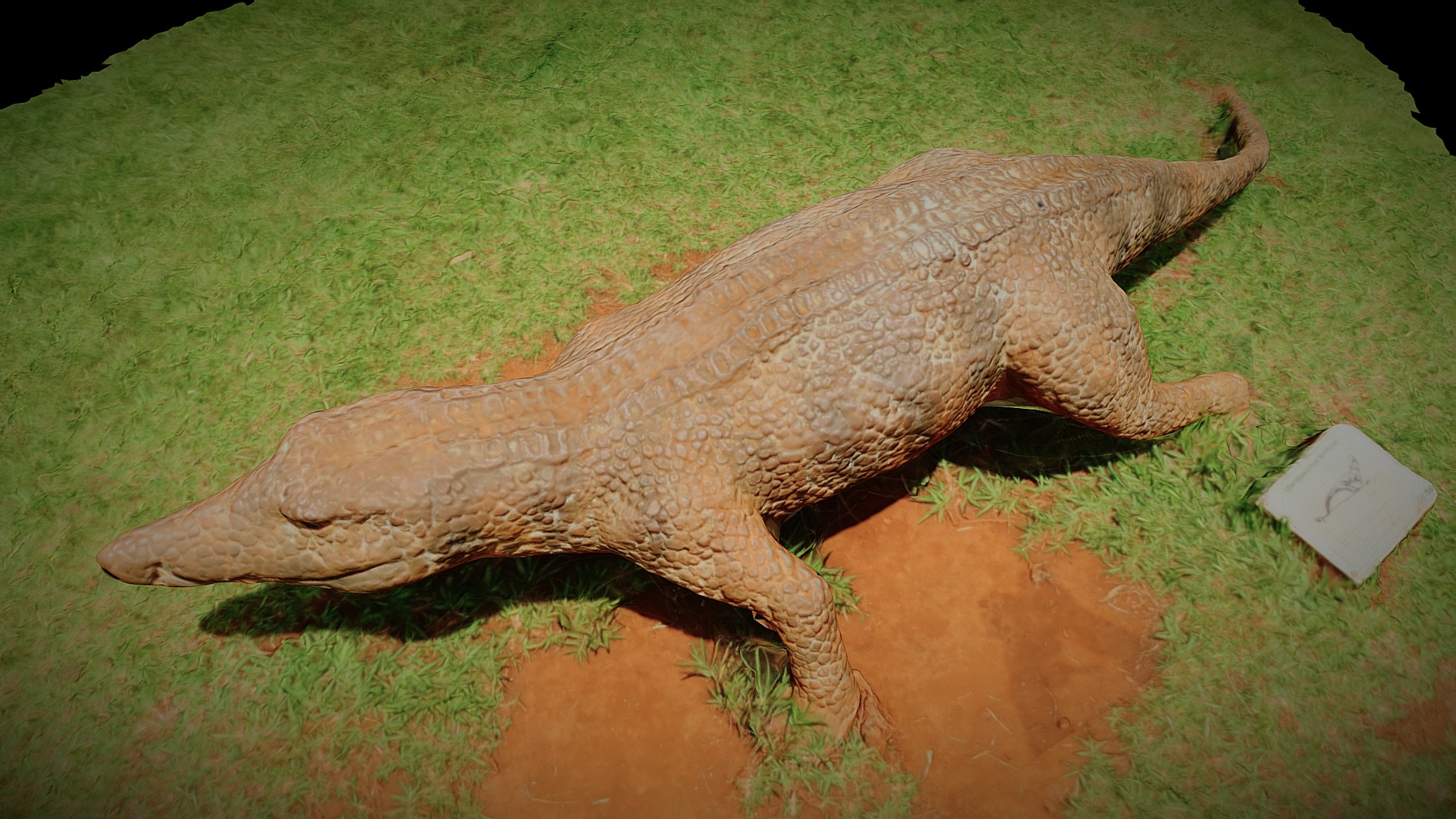 3D model Uberabasuchus terrificus - This is a 3D model of the Uberabasuchus terrificus. The 3D model is about a large alligator on grass.