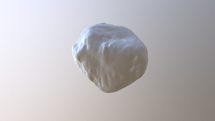 Patella 3D Model
