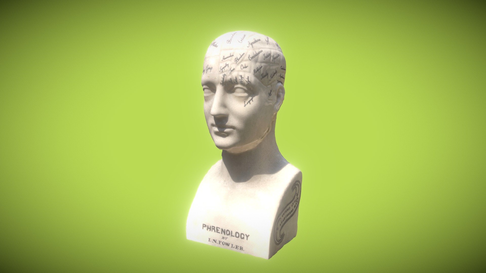 Phrenology bust