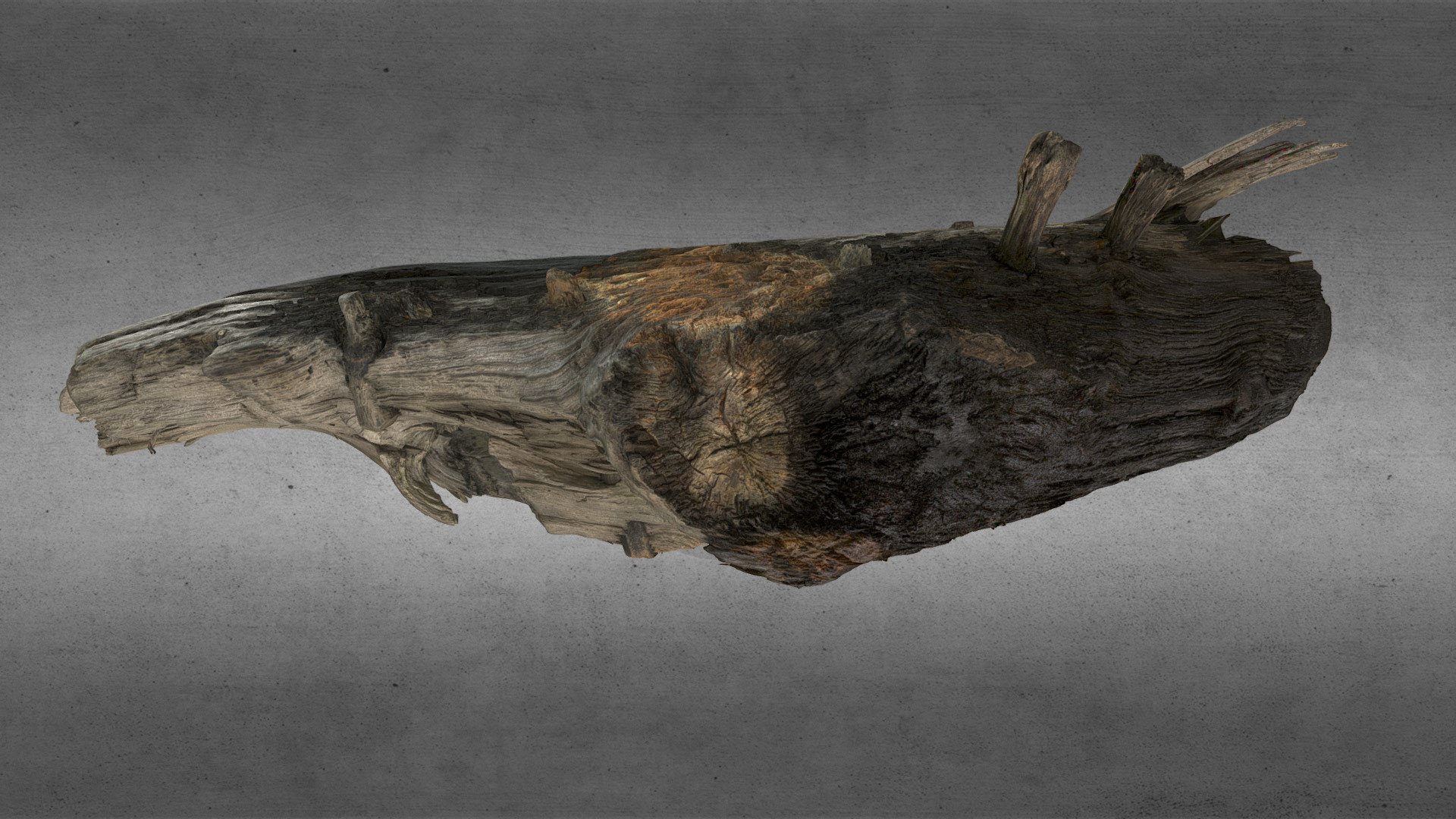Skipsvrak, Træ 3