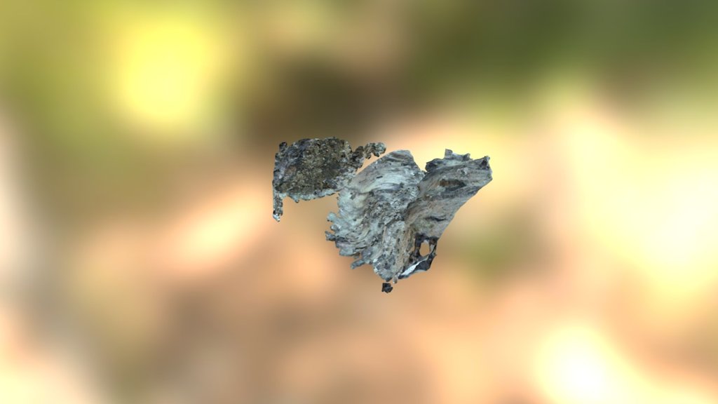Sol Chelou — Sketchfab embed 3D viewer