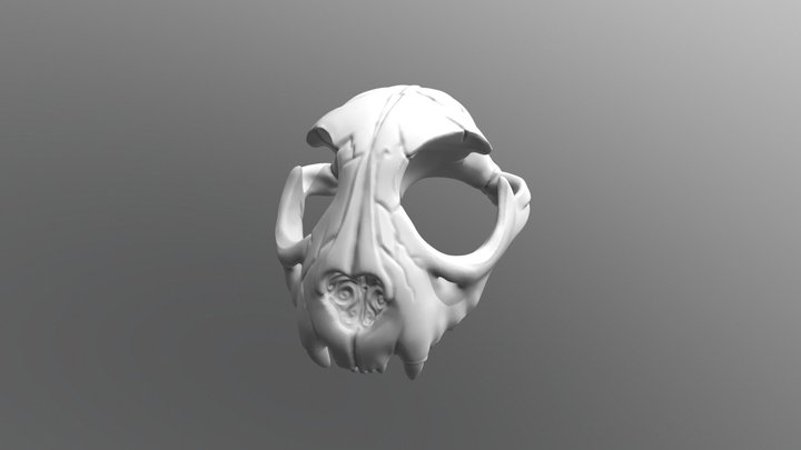Bobcat Skull - BJD 3D Model